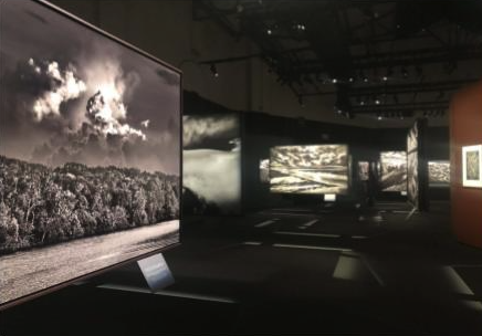 Exposition — Amazônia