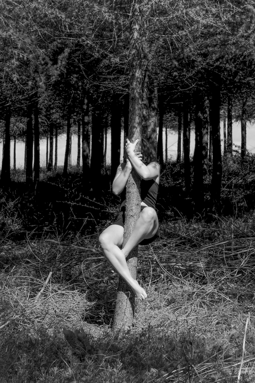 À la manière d&rsquo;Arno Minkkinen